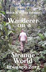 Wanderer on a Strange World