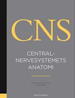 Centralnervesystemets anatomi