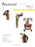 Anatomi- regionær anatomi - Studie 2
