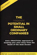 The hidden potential in small ordinary companies