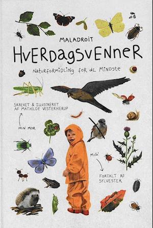 Hverdagsvenner