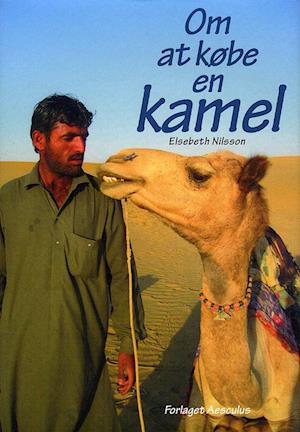 Om at købe en kamel