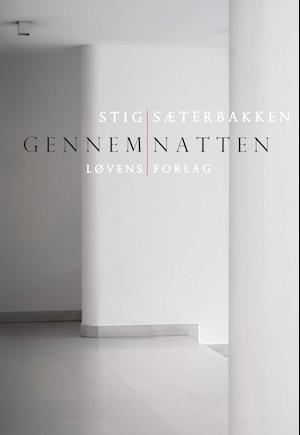 image of Gennem natten-Stig Sæterbakken