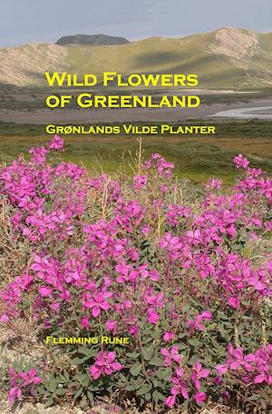Wild flowers of Greenland