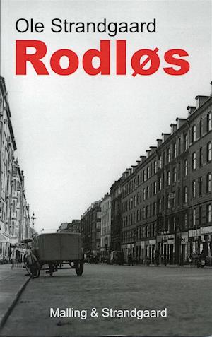 Rodløs - balladen om Johannes T. Sørensen