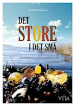 Det store i det små