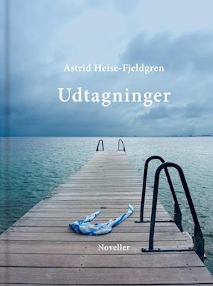 Udtagninger