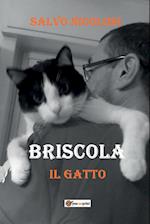 Briscola il Gatto