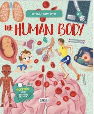 What, How, Why. The Human Body