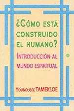 ¿Cómo está construido el humano?