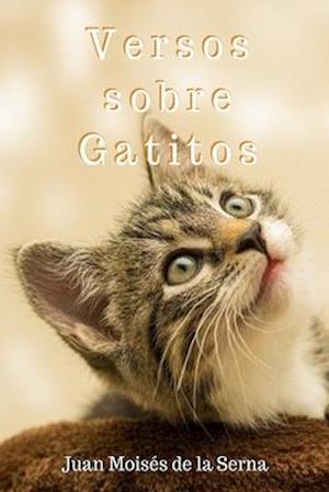 Versos Sobre Gatitos