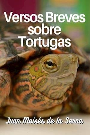 Versos Breves Sobre Tortugas