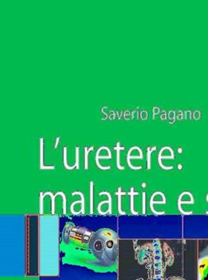 L''uretere: malattie e sintomi