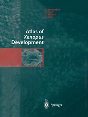 Atlas of Xenopus Development