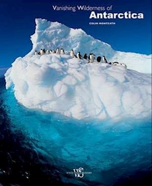 Vanishing Wilderness of Antarctica