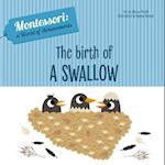 The Birth of a Swallow