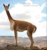 Vicuña