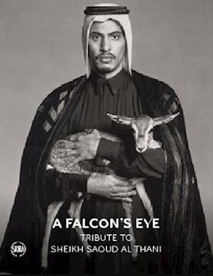 A Falcon’s Eye