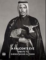 A Falcon’s Eye