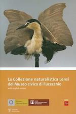 La Collezione Naturalistica Lensi del Museo Civico Di Fucecchio