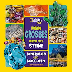 Mein großes Buch der Steine, Mineralien und Muscheln