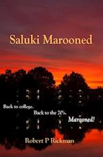 Saluki Marooned 