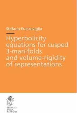 Hyperbolicity Equations for Cusped 3-Manifolds and Volume-Rigidity of Representations
