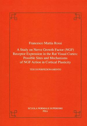 A study on nerve growth factor (NGF) receptor expression in the rat visual cortex: possible sites and mechanisms of NGF action in cortical plasticity