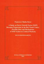 A study on nerve growth factor (NGF) receptor expression in the rat visual cortex: possible sites and mechanisms of NGF action in cortical plasticity