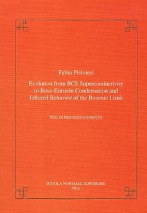 Evolution from BCS Super-Conductivity to Bose-Einstein Condensation and Infrared Behavior of the Bosonic Limit