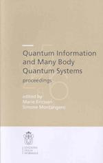 Quantum Information and Many Body Quantum Systems