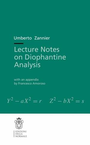 Lecture Notes on Diophantine Analysis