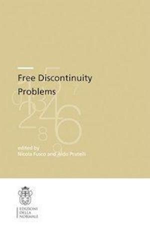 Free Discontinuity Problems