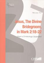 Jesus in Divine Bridegroom in Mark 2