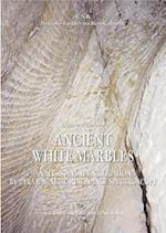 Ancient White Marbles