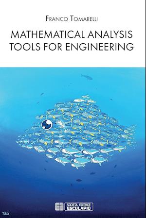 Mathematical Analysis Tools for Engineering