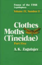 Clothes Moths (Tineidae)