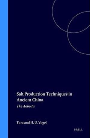 Salt Production Techniques in Ancient China