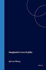 Imaginative Love in John