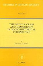 The Middle Class and Democracy in Socio-Historical Perspective