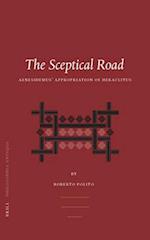 The Sceptical Road