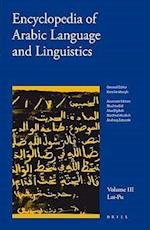 Encyclopedia of Arabic Language and Linguistics, Volume 3