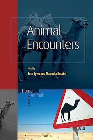 Animal Encounters