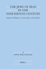 The Jews of Iran in the Nineteenth Century (Paperback)