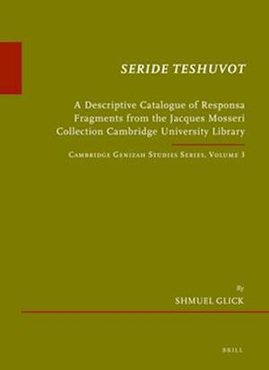 Seride Teshuvot