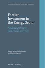 Foreign Investment in the Energy Sector