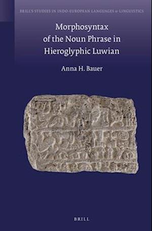 Morphosyntax of the Noun Phrase in Hieroglyphic Luwian