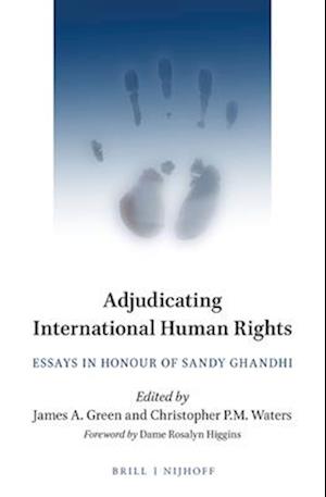 Adjudicating International Human Rights