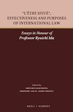 "l'être Situé", Effectiveness and Purposes of International Law
