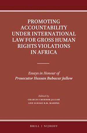Promoting Accountability Under International Law for Gross Human Rights Violations in Africa